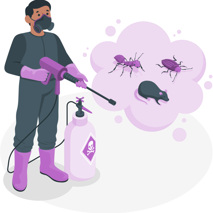 Temiz Böcek İlaçlama